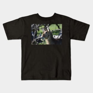 Waterbuck Kids T-Shirt